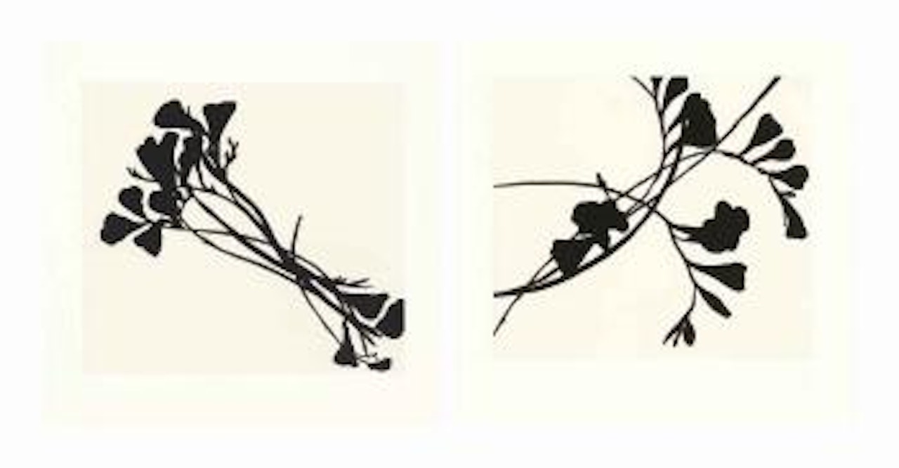 Black Freesias: Two Plates by Donald Sultan