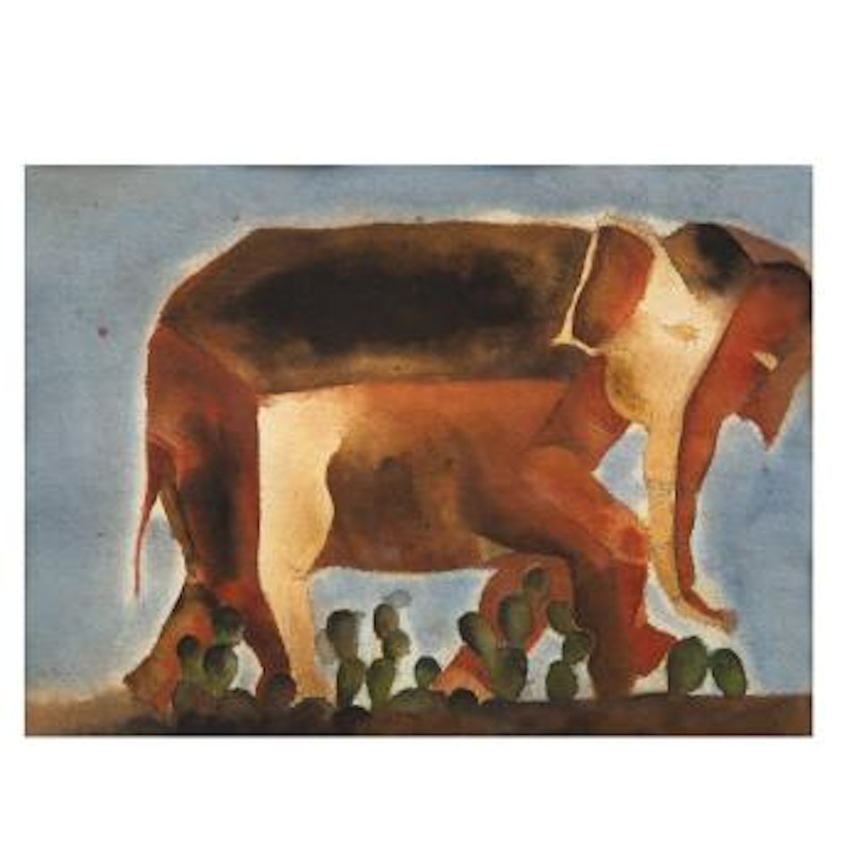 Elefante Entre Nopales by Francisco Toledo