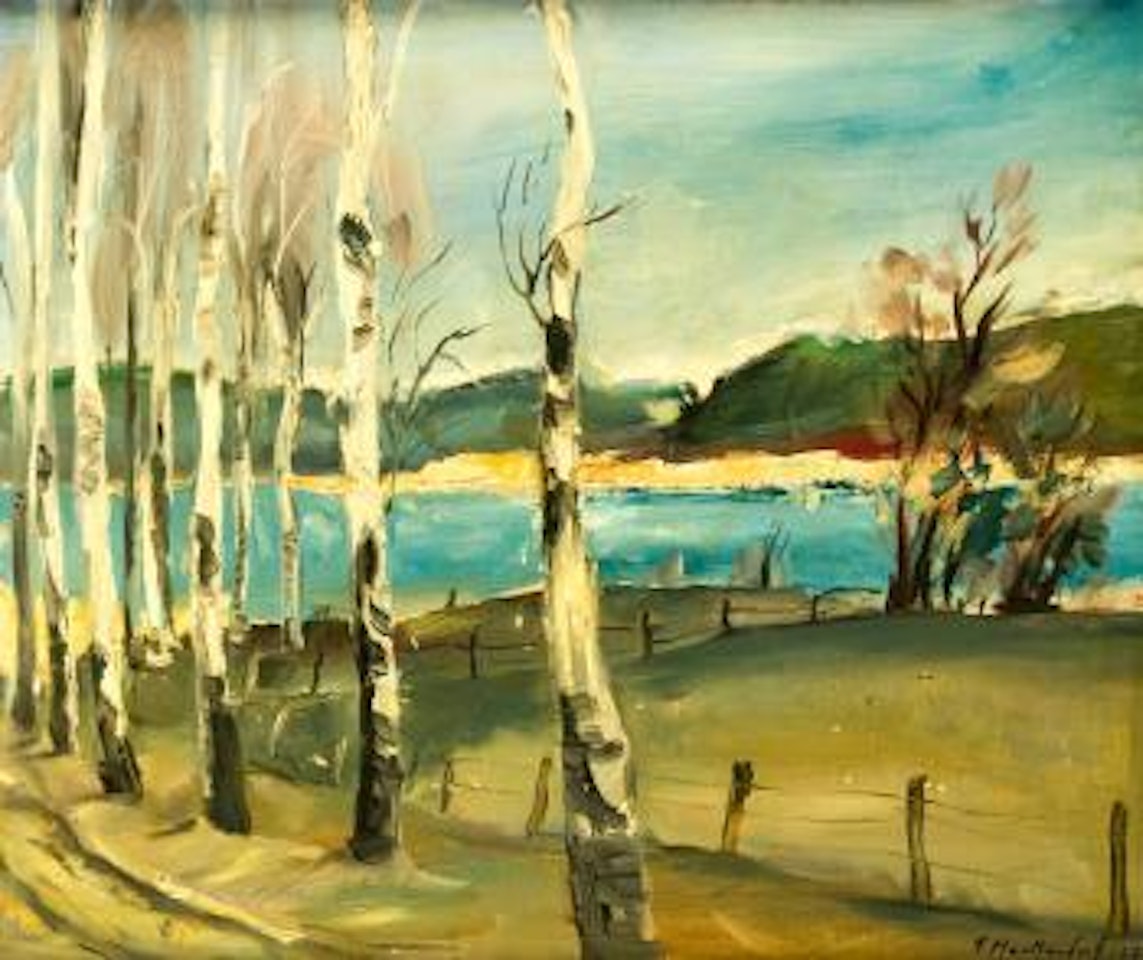 Uferlandschaft mit Birken by Franz Heckendorf