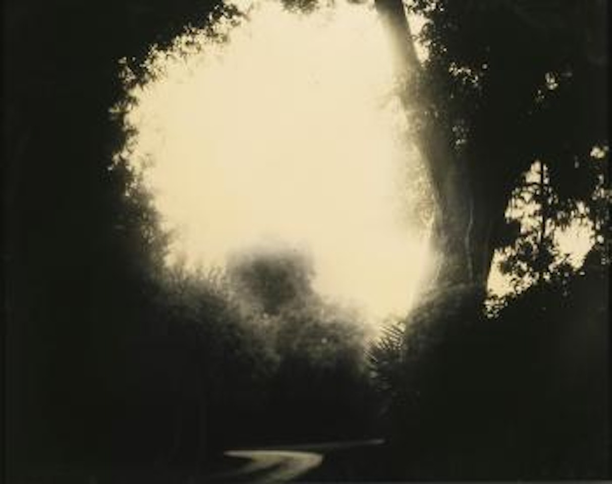 Untitled (Deep South #20) by Sally Mann