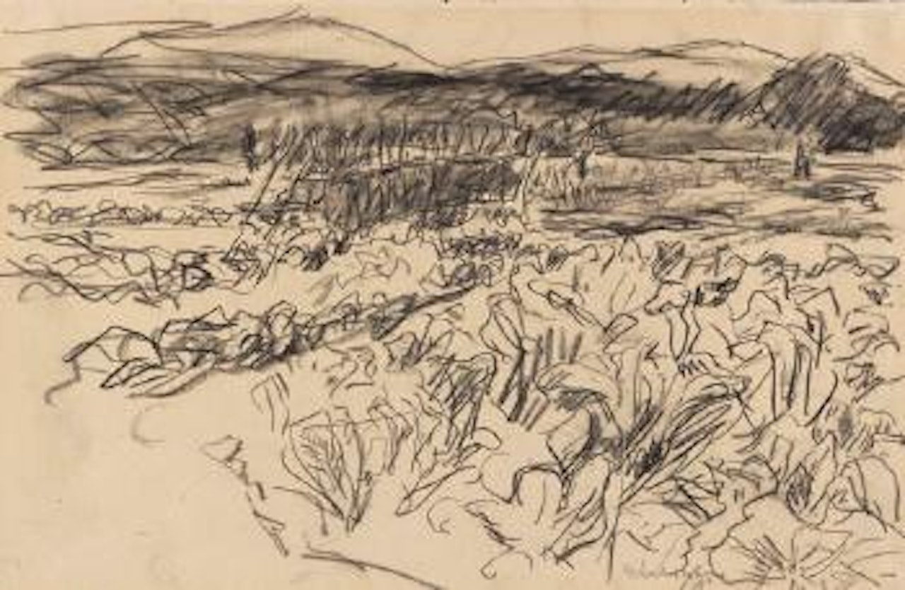 Kohlfeld by Max Liebermann