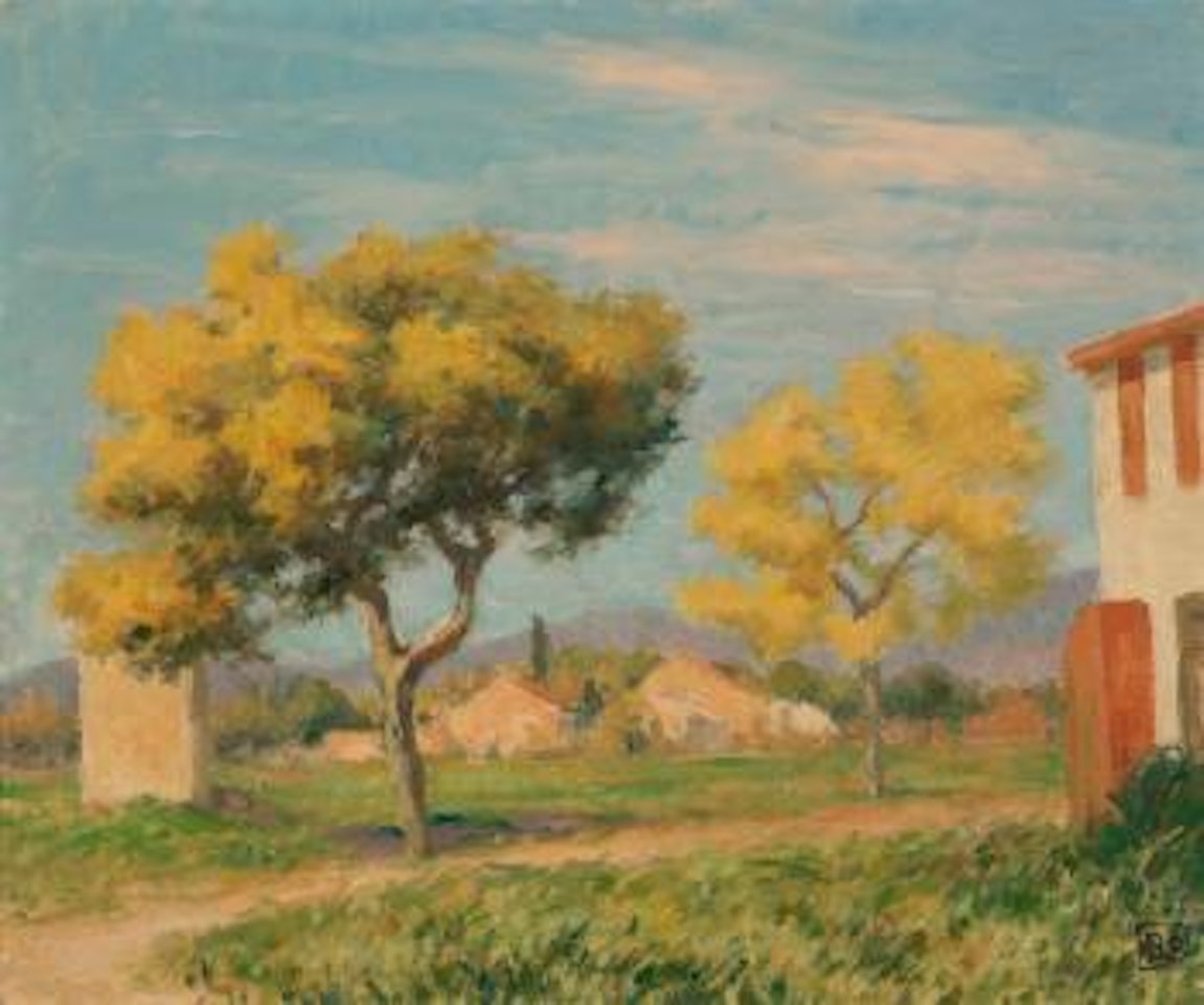 Wattle trees, south of France by Rupert Charles Wulsten Bunny
