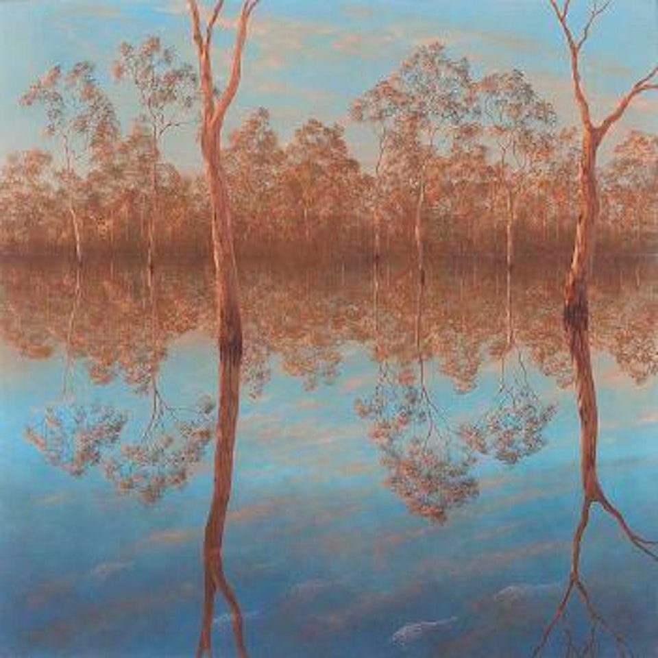Late Afternoon At Barmah by Lin Onus