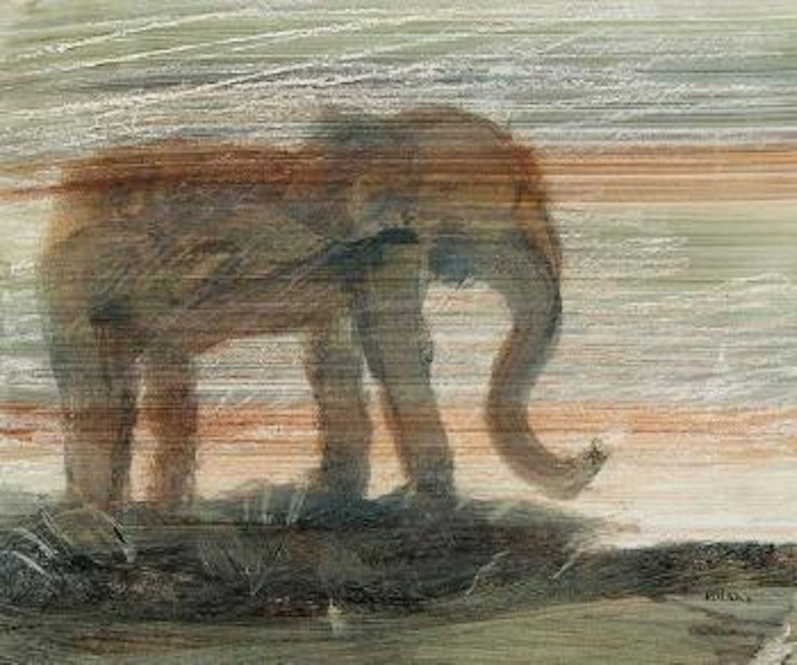 Elephant by Sidney Nolan