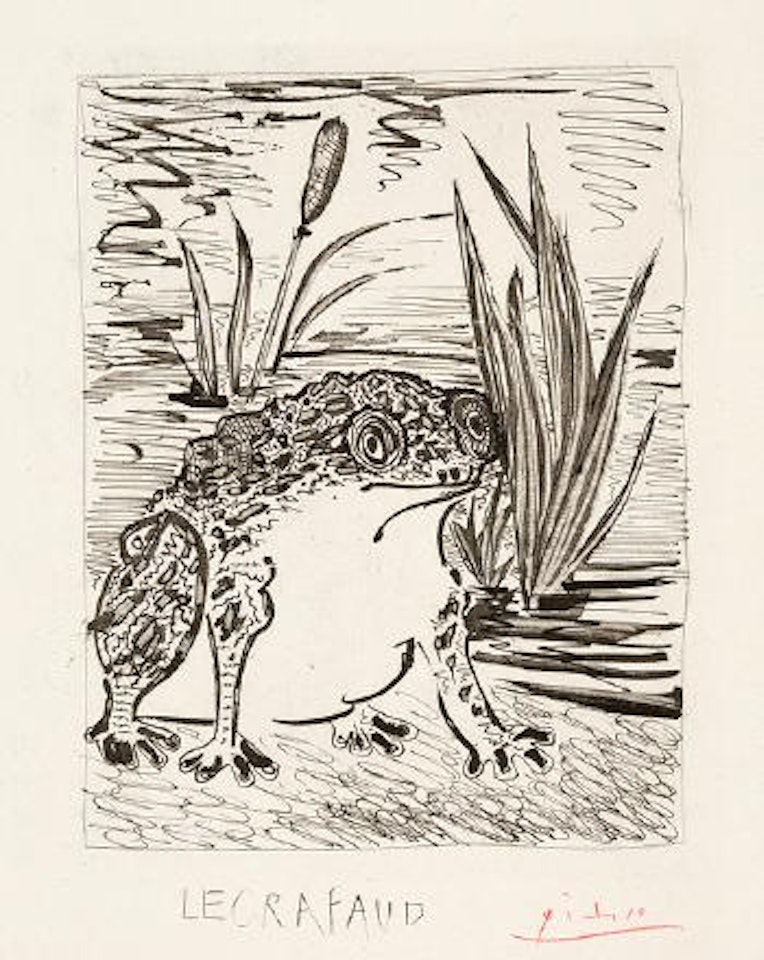 Le Crapaud - Blatt XXIX der Illustrationen zu: Buffon by Pablo Picasso