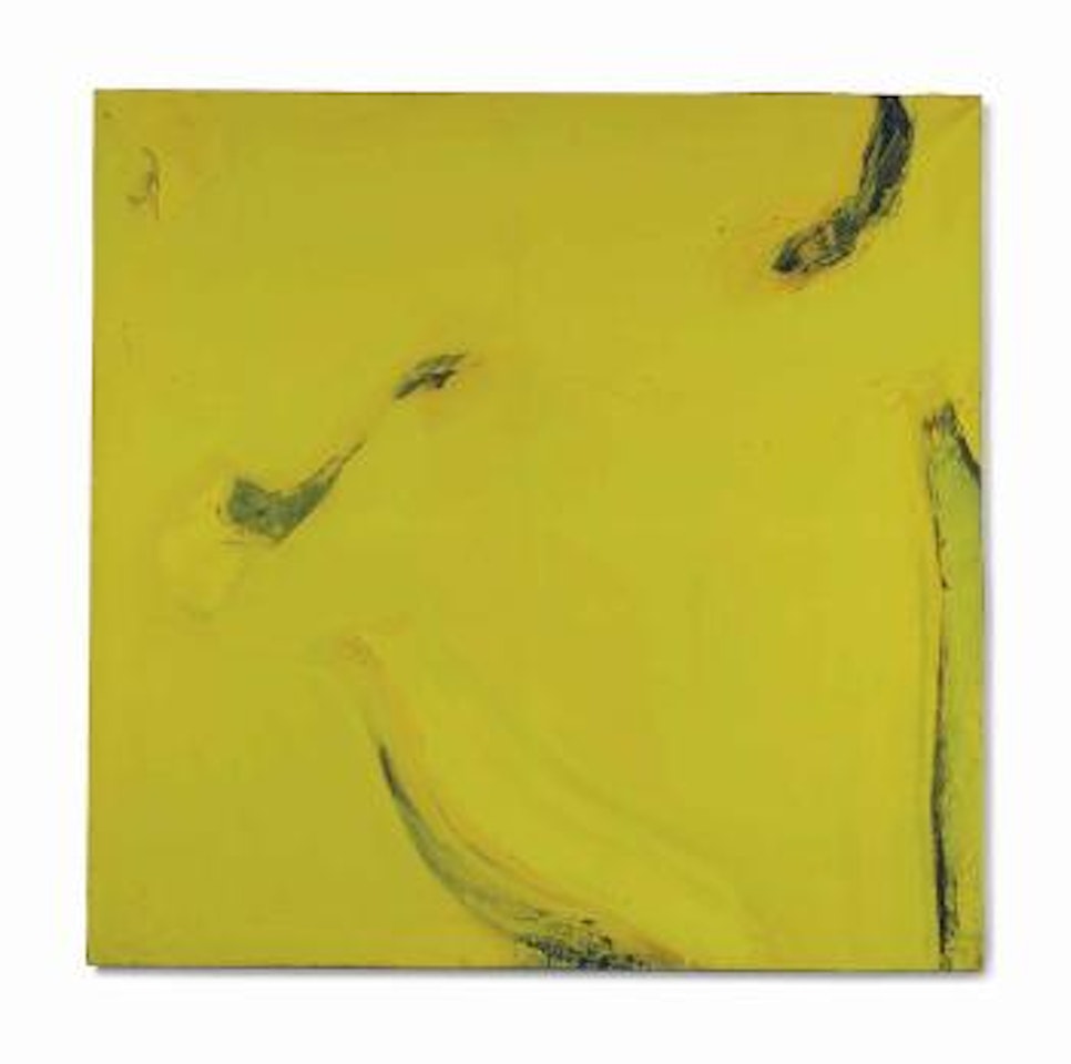 Jardin Du Jaune by Olivier Debre