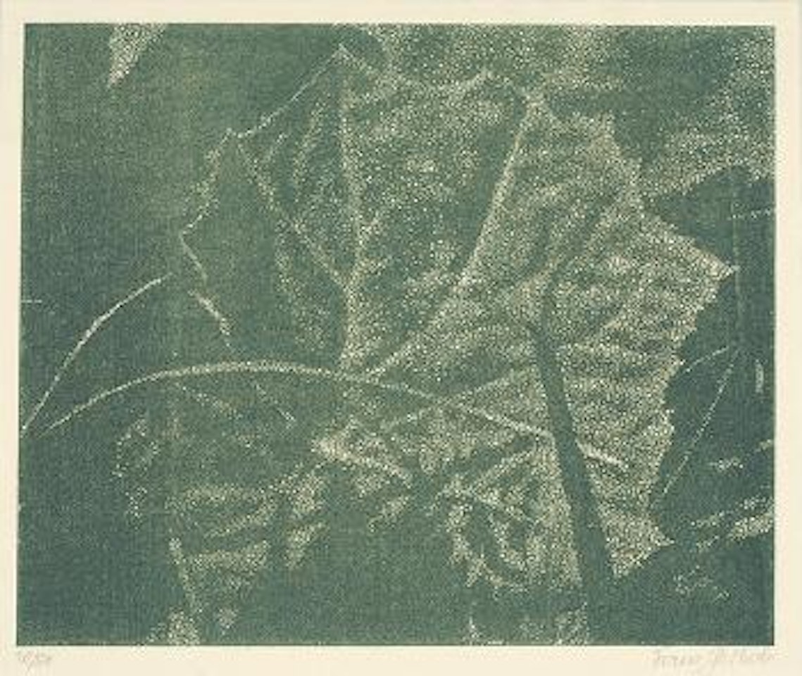 Pestwurz by Franz Gertsch