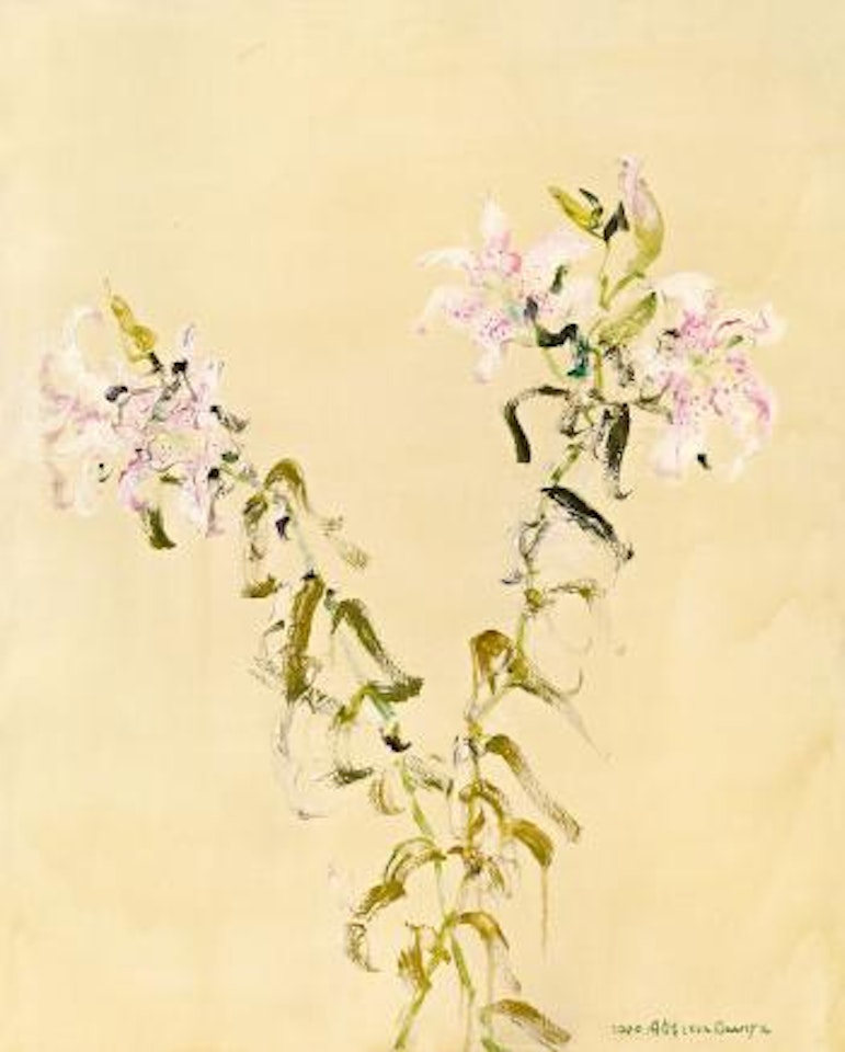 Lily by Zhou Chunya