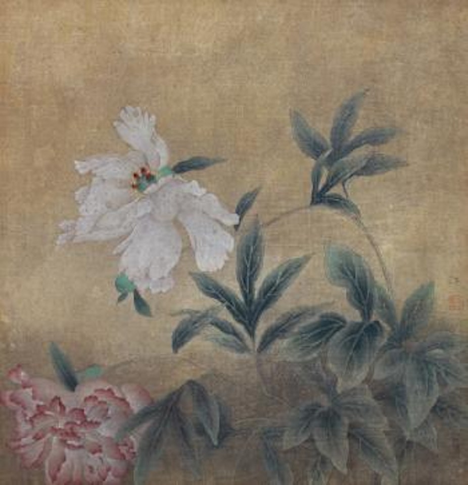 Peony by Jiang Hongwei