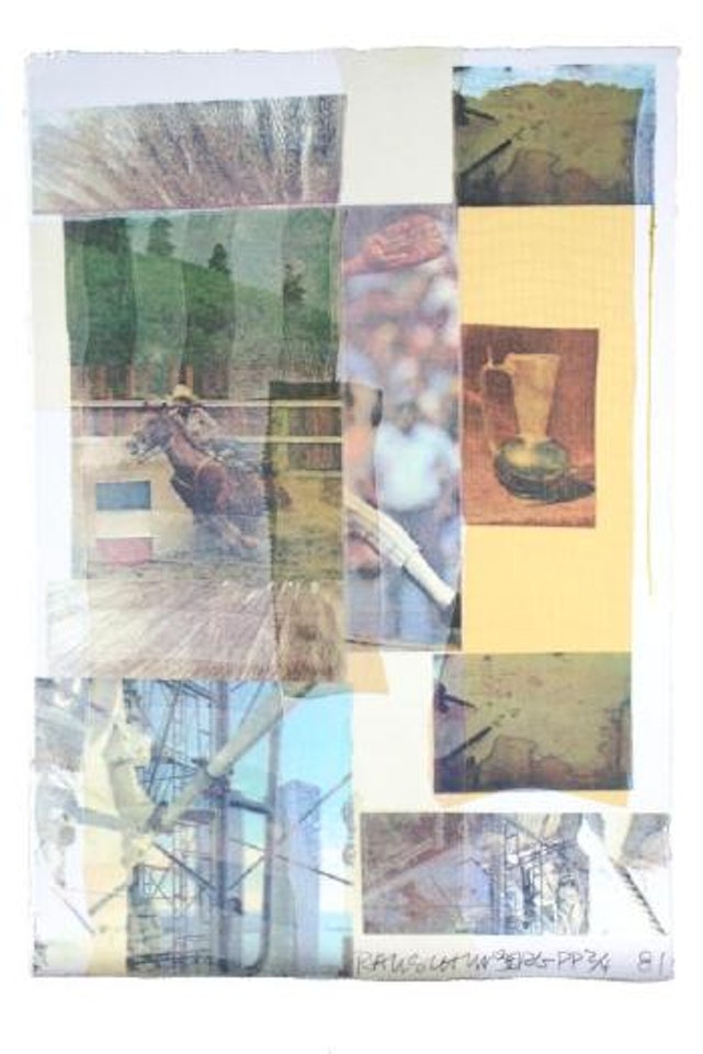 Arcanum by Robert Rauschenberg