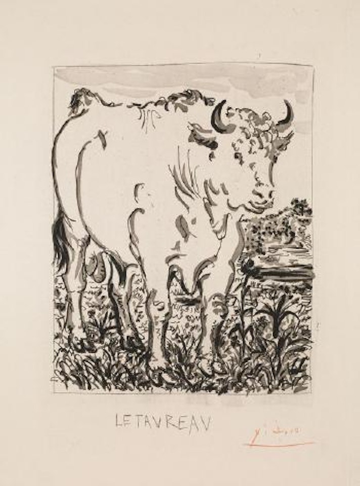 Le taureau by Pablo Picasso