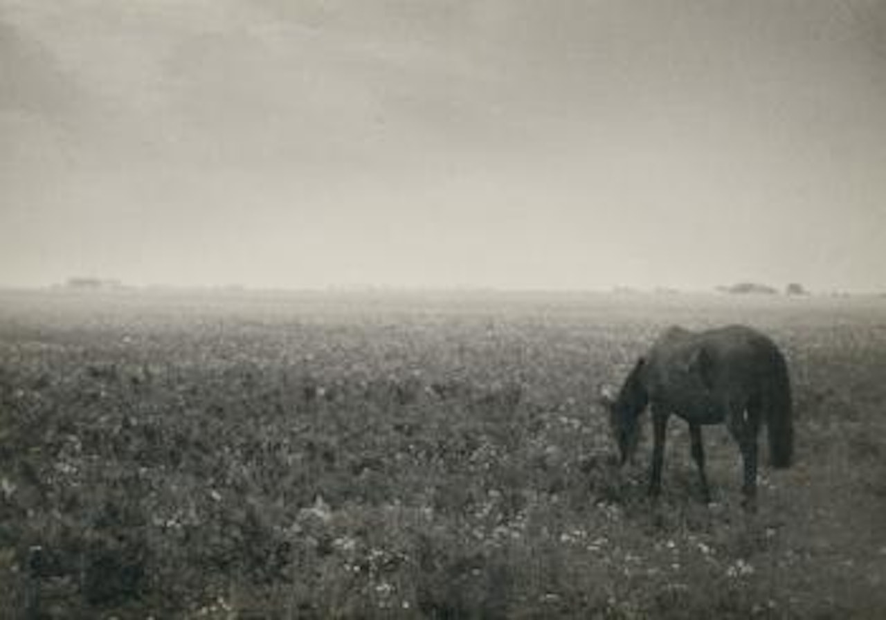 Puszta by André Kertész