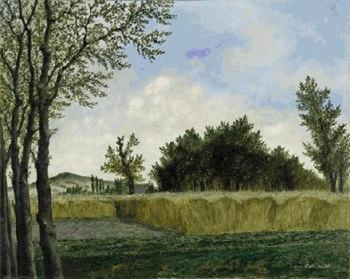Grüne landschaft mit kornfeld und busch by Franz Radziwill