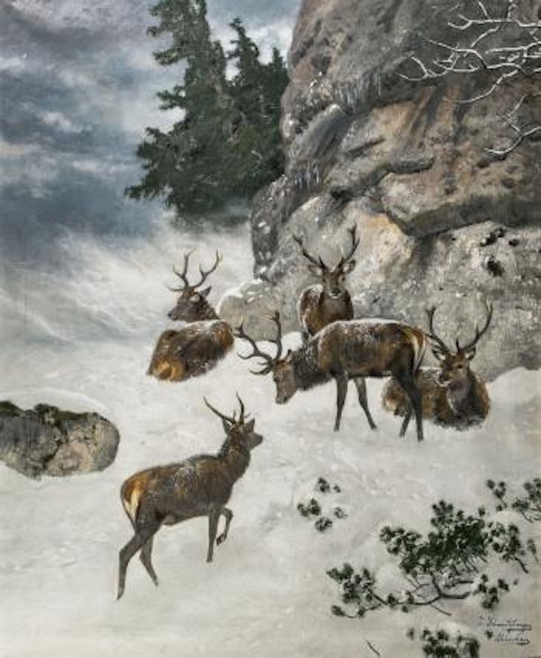 Hirsche in Winterlandschaft by Josef Schmitzberger