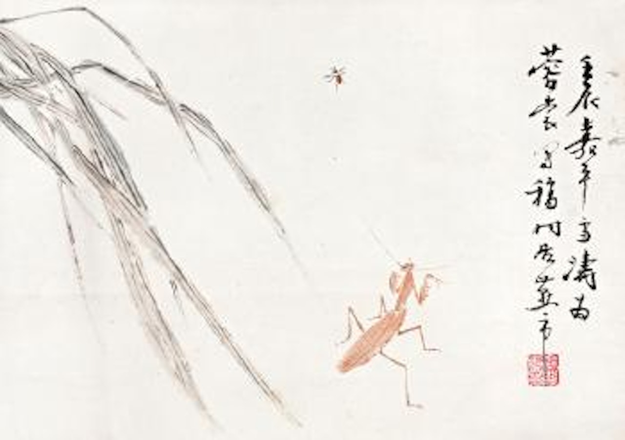 Insects by Wang Xuetao