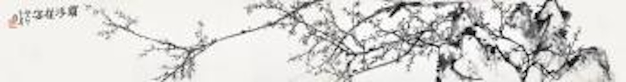 Plum Blossom by Li Kuchan