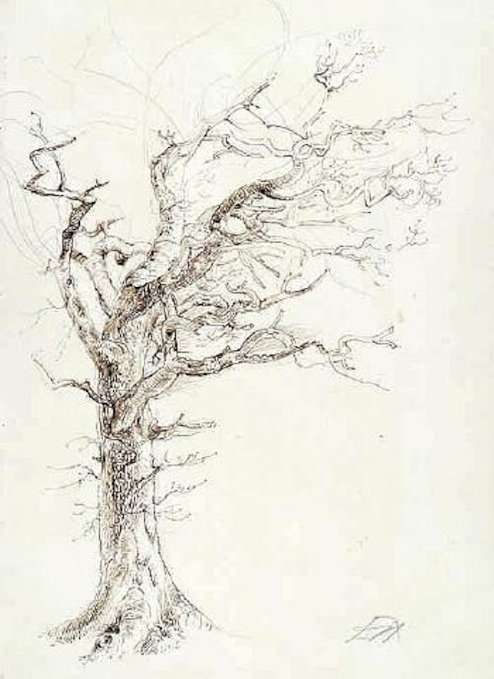 Eiche (Baumstudie) by Otto Dix