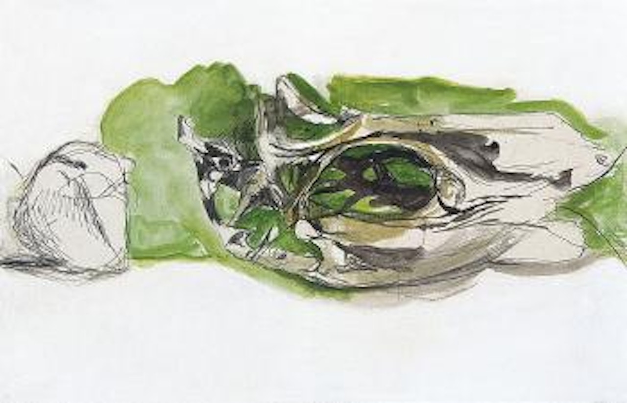Organic forms by Graham Sutherland
