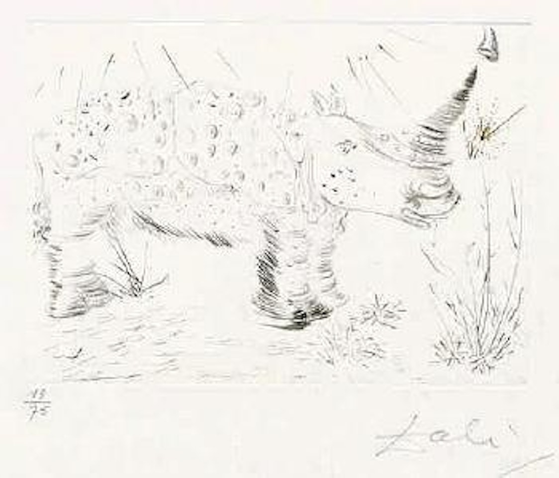 Rhinocéros by Salvador Dali