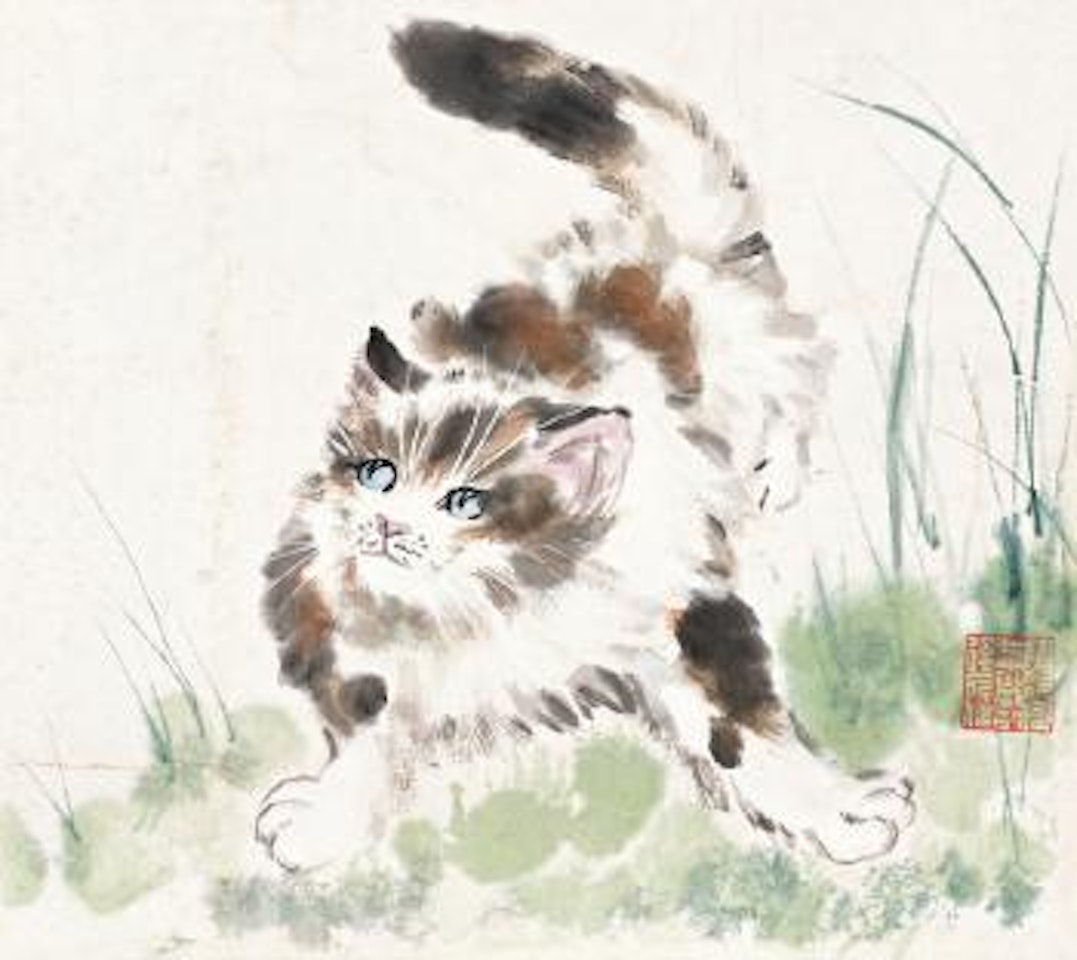 Cat by Lengyue Tao