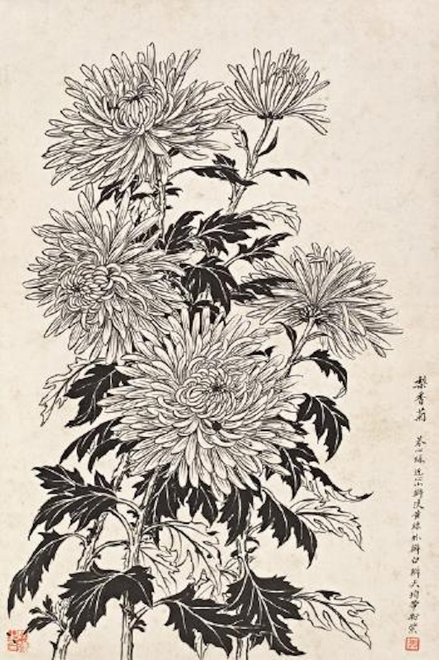 Chrysanthemum by Lengyue Tao