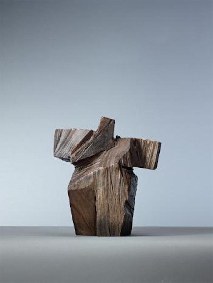 Taichi series – Underarm strike by Ju Ming