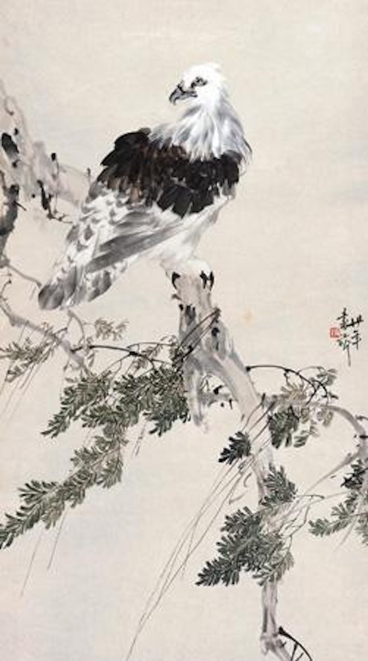 Eagle by Zhang Shuqi