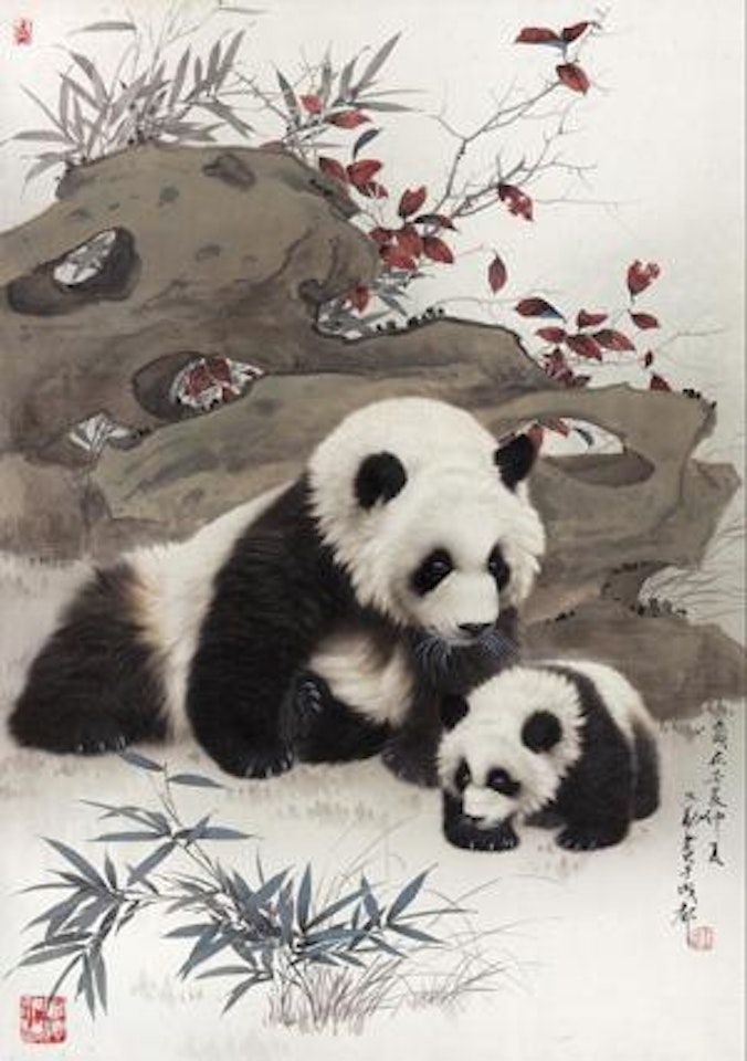 Panda by Wang Shenyong