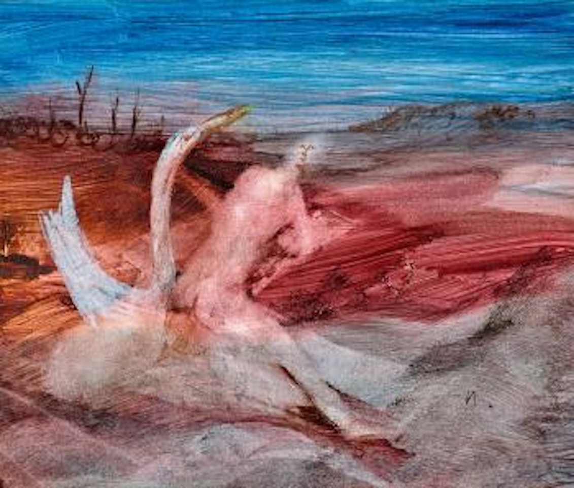 Leda and Swan by Sidney Nolan