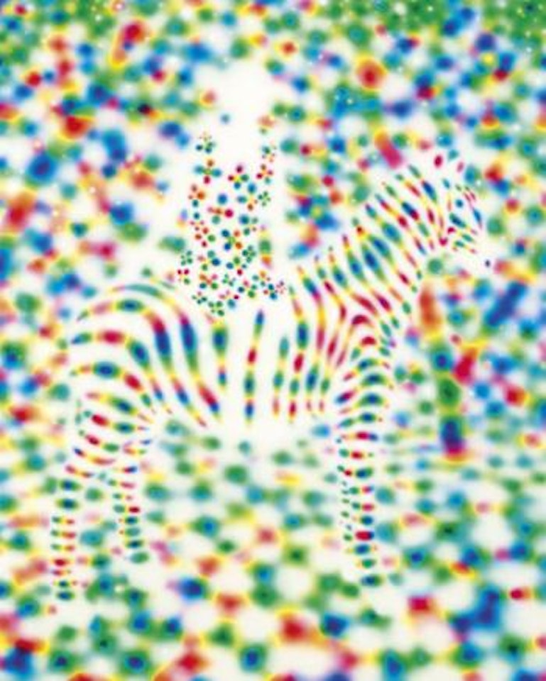 Red yellow blue (Zebra) by Tomoya Tsukamoto