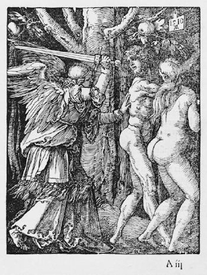 Die Vertreibung aus dem Paradies by Albrecht Dürer