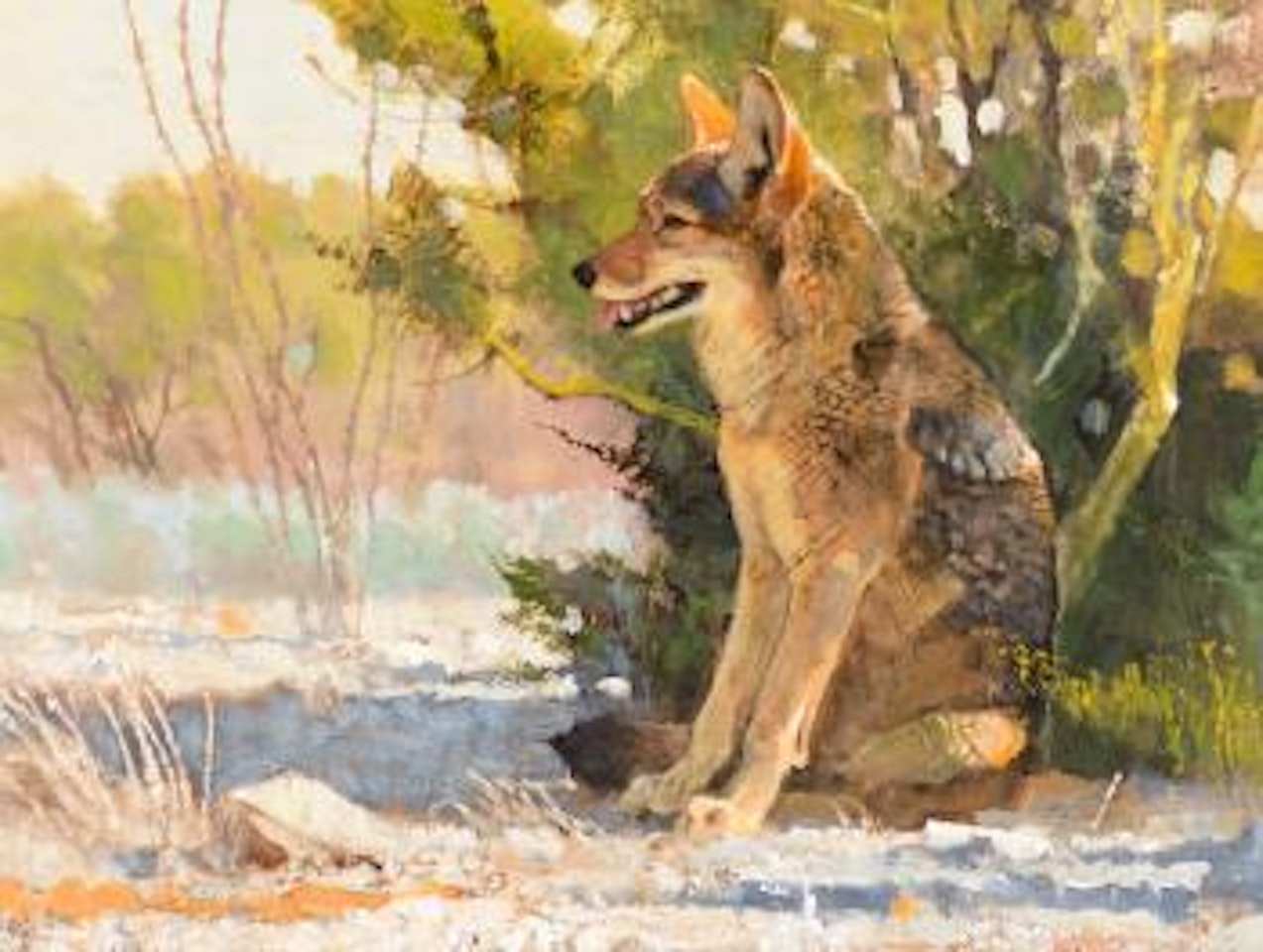 Shady Spot (1996) by Bob Kuhn
