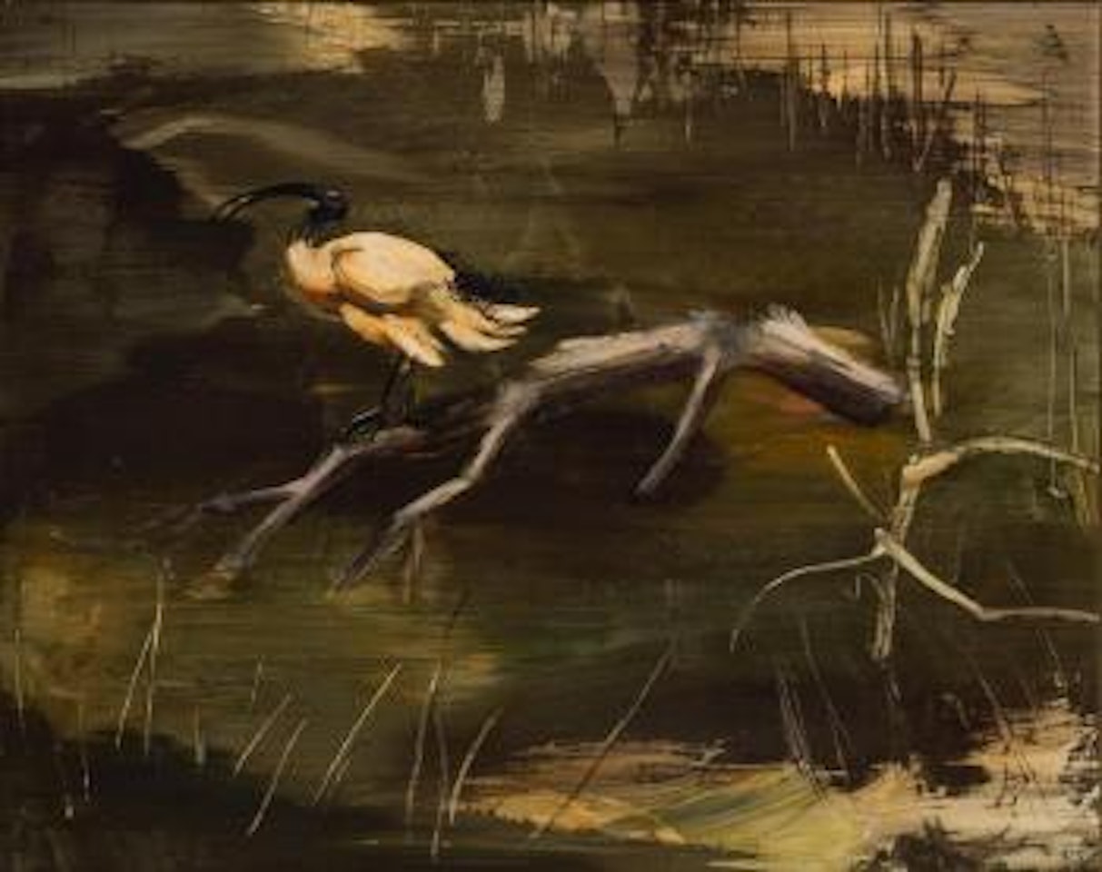 Ibis in Swamp by Albert Tucker