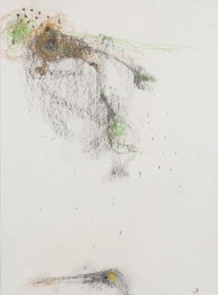 Frog and Bird by John Olsen