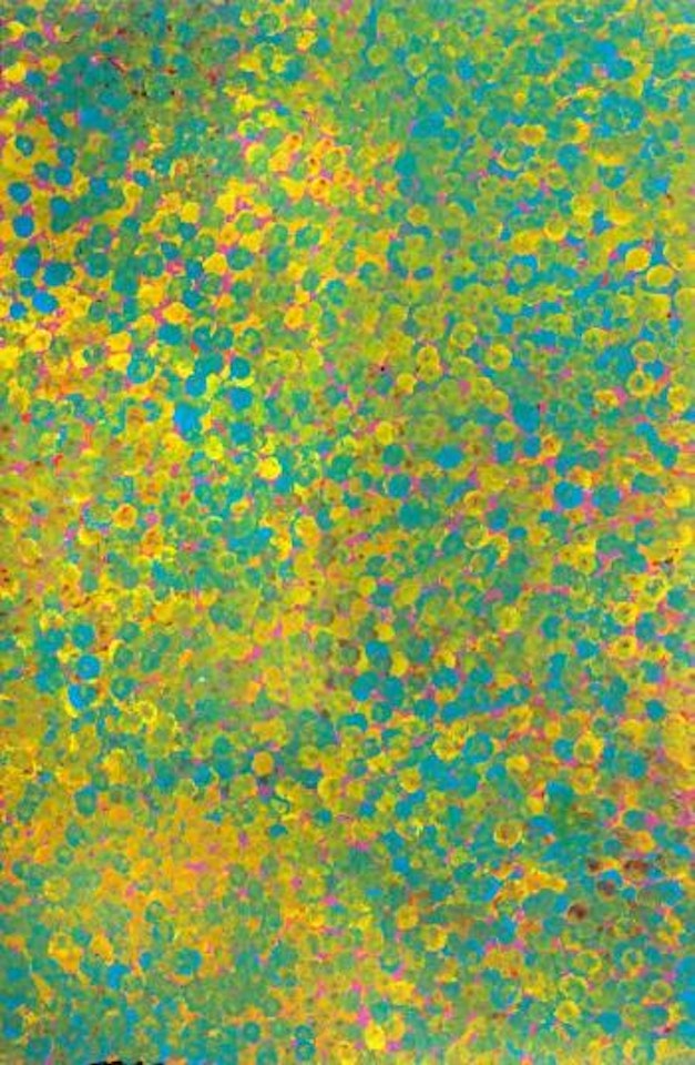 Untitled (Alhalkere) by Emily Kame Kngwarreye