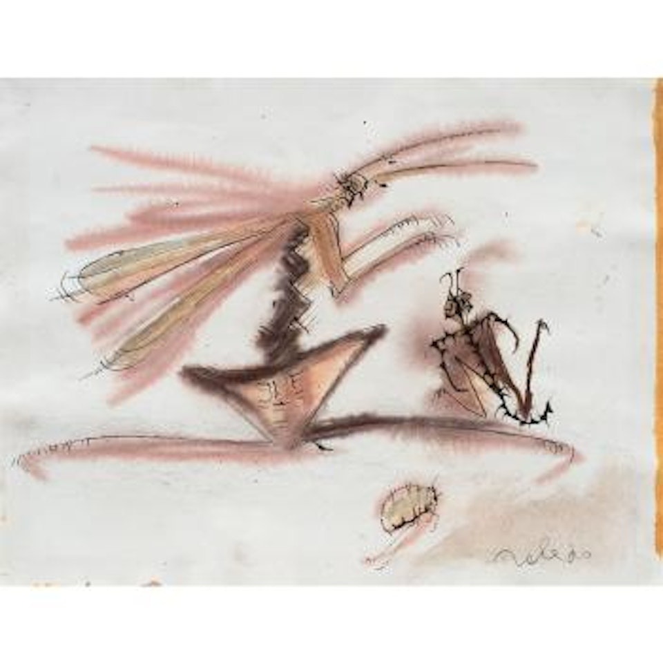 Sin Título, De La Colección Insectos by Francisco Toledo
