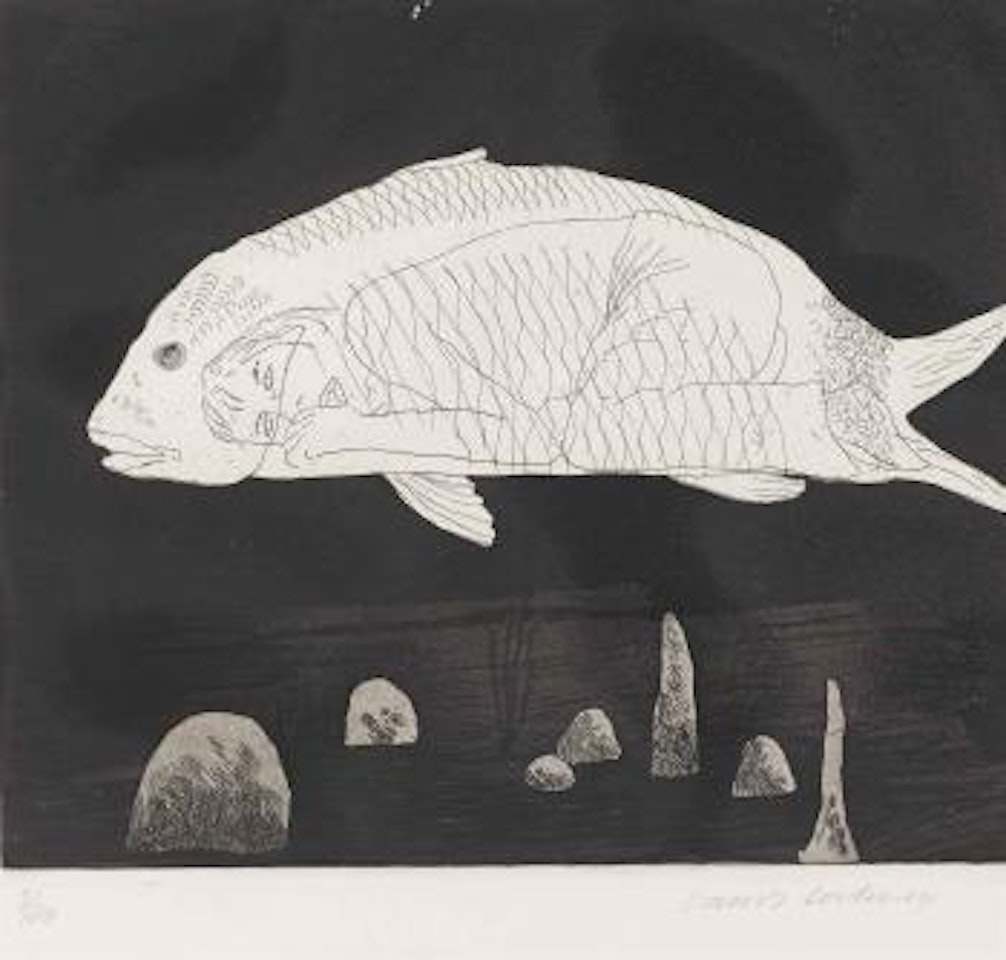 The boy hidden in a fish by David Hockney