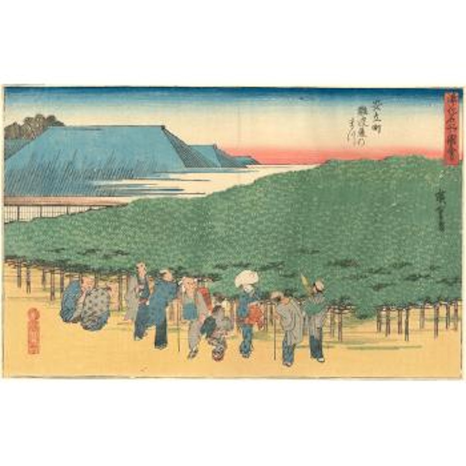 Adachi-chô Naniwaya no matsu by Utagawa Hiroshige