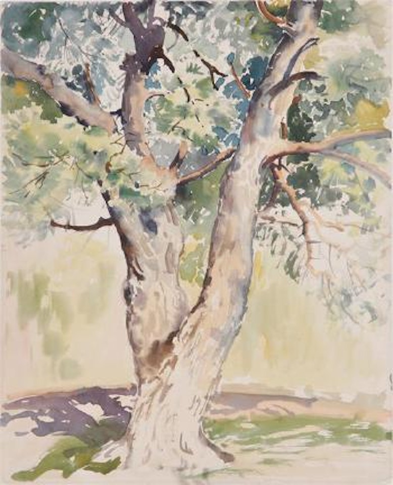 Crepe Myrtle Tree by Alfred Hutty
