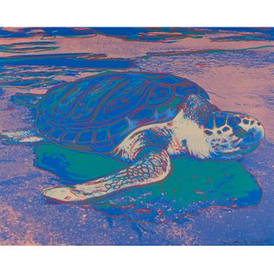 Turtle by Andy Warhol