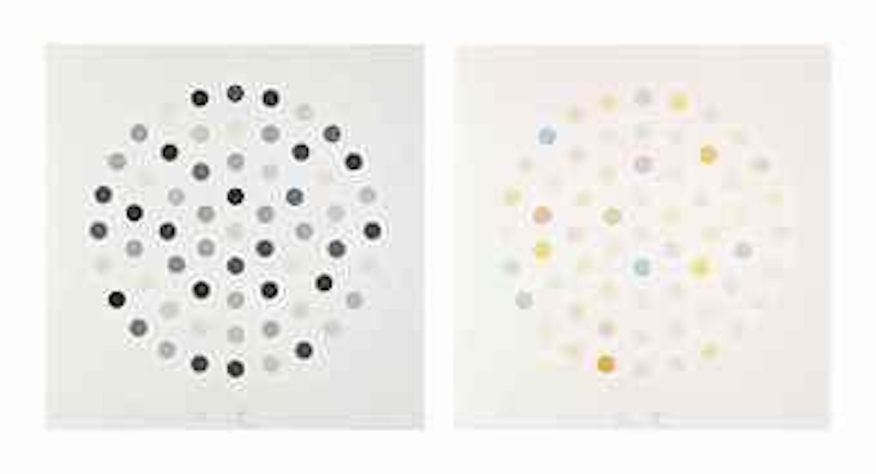 Cineole; Cinchonidine by Damien Hirst