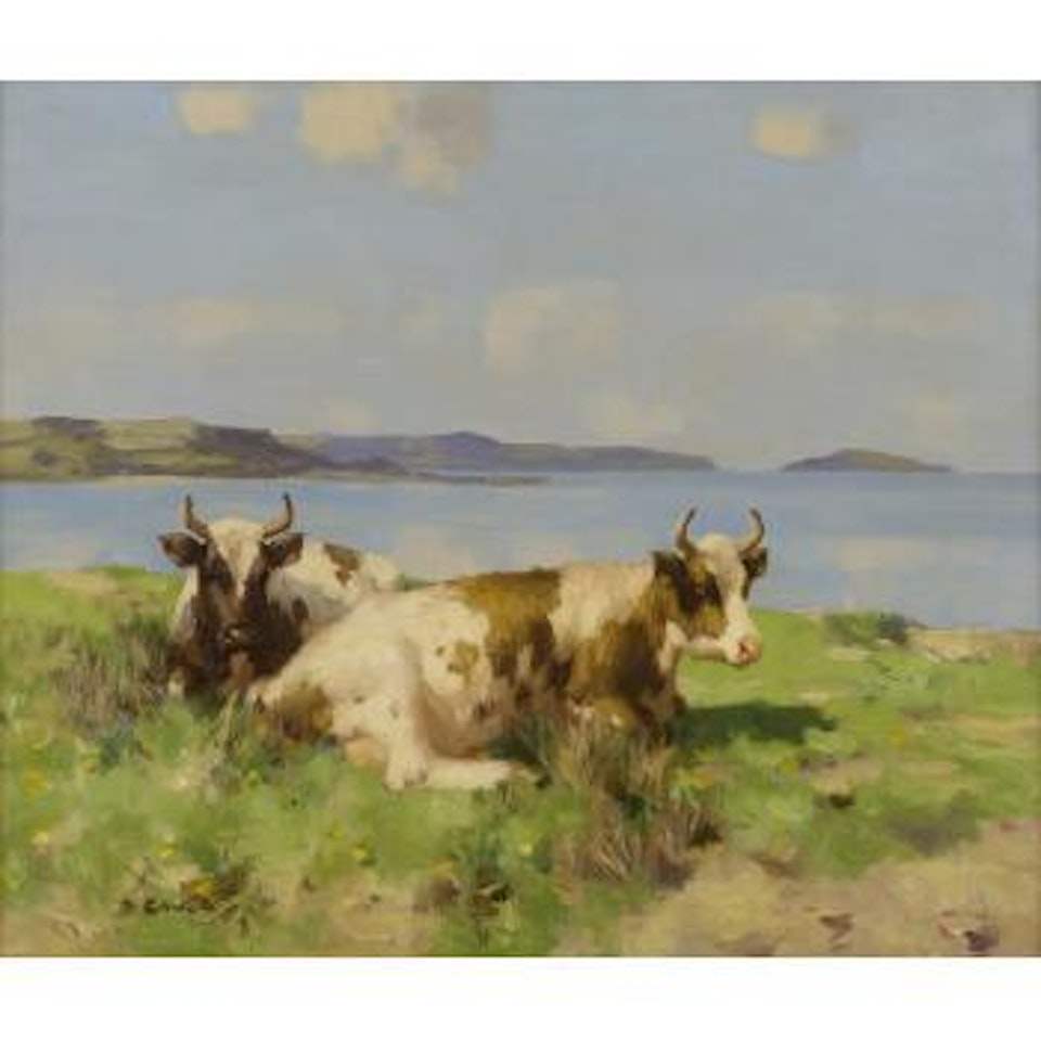 On the Solway by David Gauld