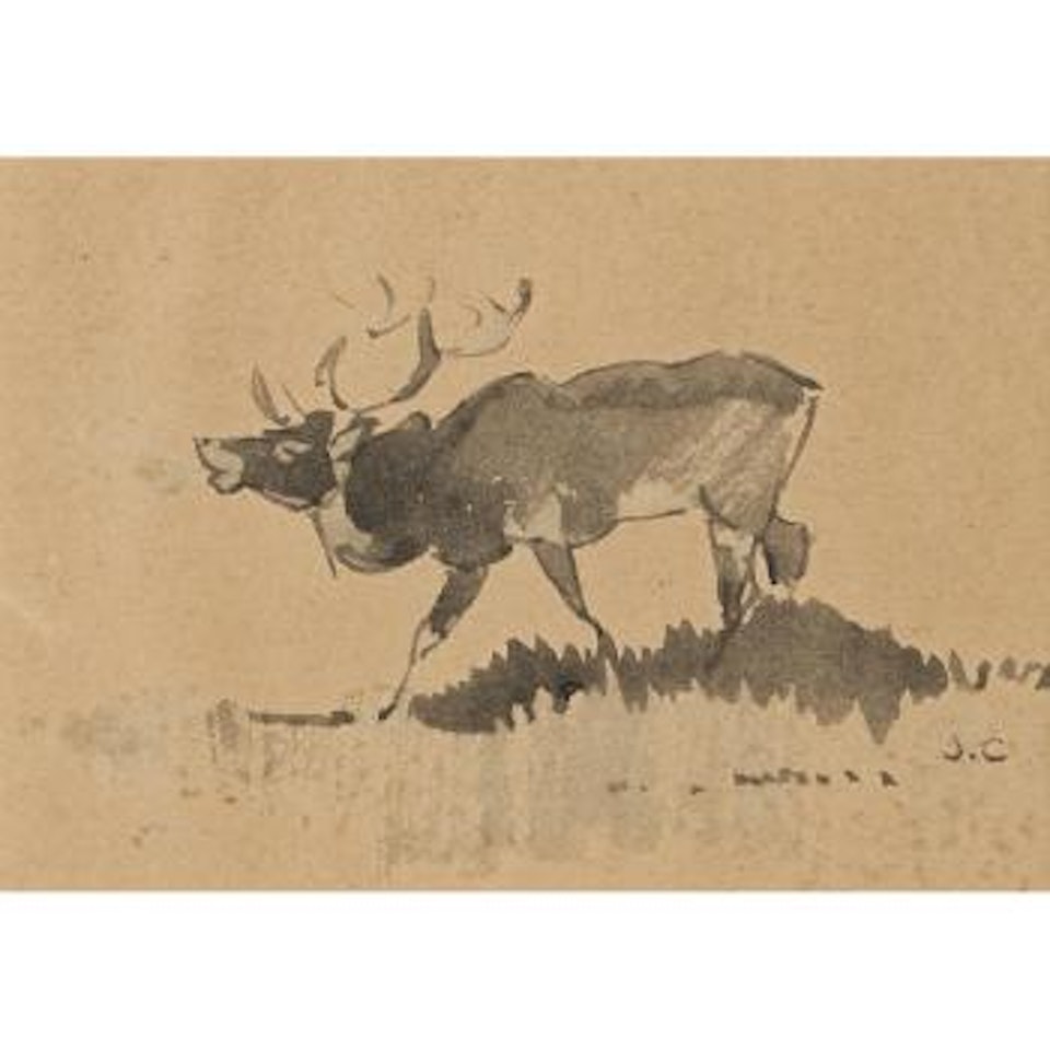 Autumn: Roaring Red Deer In Doñana, Spain by Joseph Crawhall