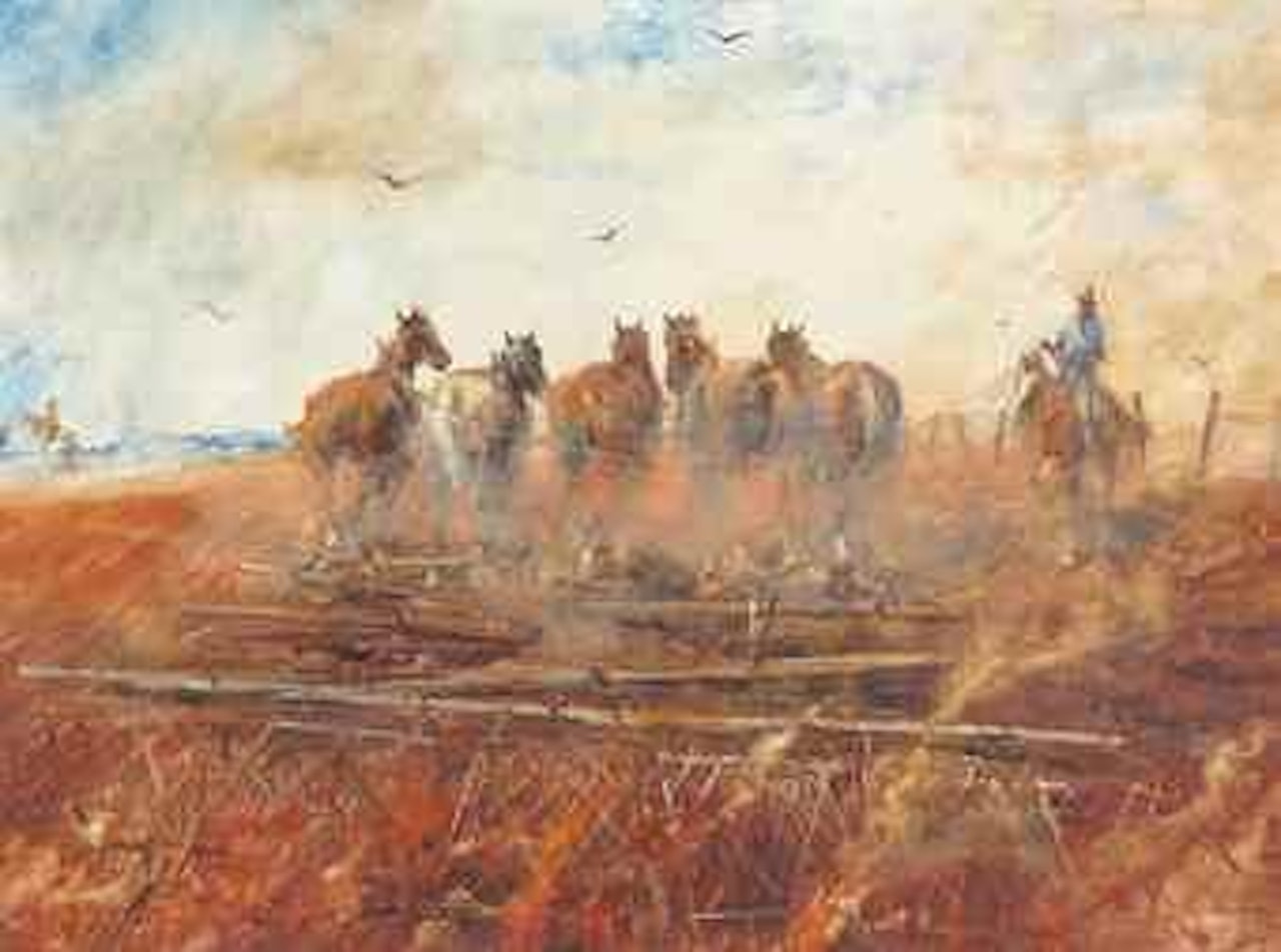 The fire harrowing team, Queensland by Hugh Sawrey