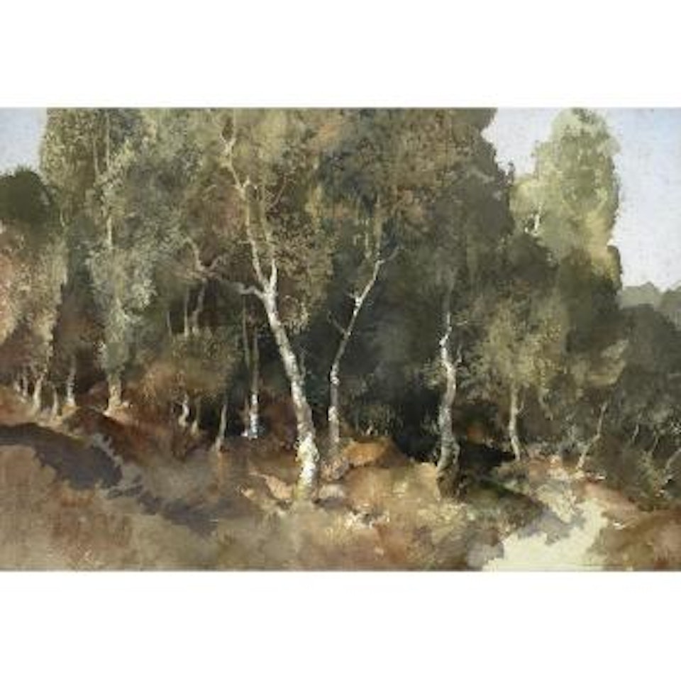 Autumn in a Surrey Wood by William Russell Flint