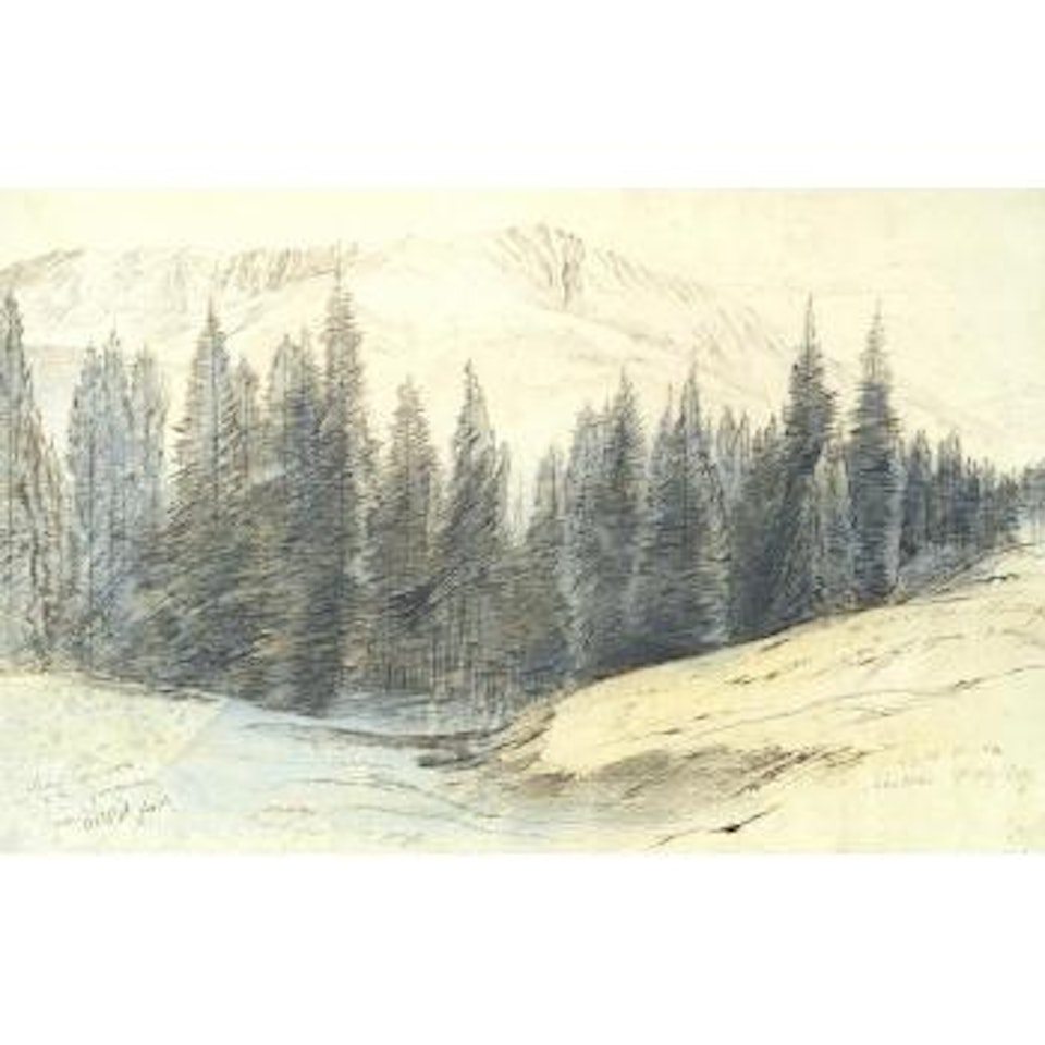 A view of Monte Libro-Aperto, near Abetone, Italy by Edward Lear