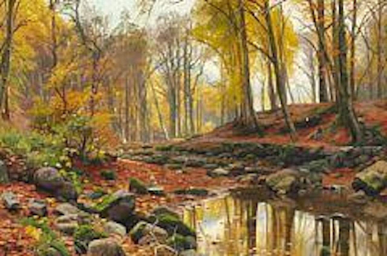 Beech trees reflected in a lake in the woods on an autumn day by Peder Mork Monsted