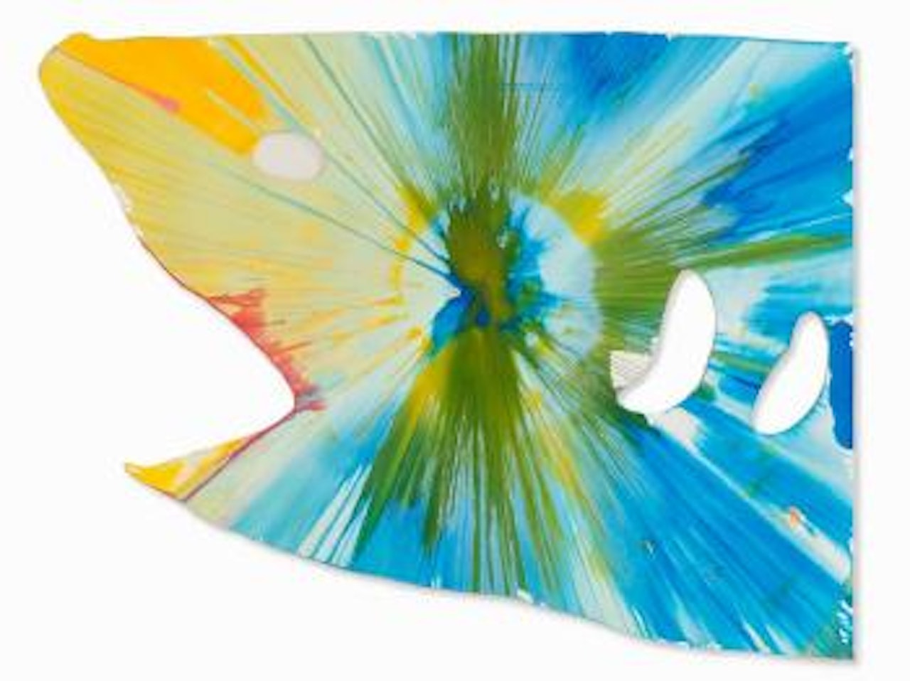 Shark Spin Painting by Damien Hirst