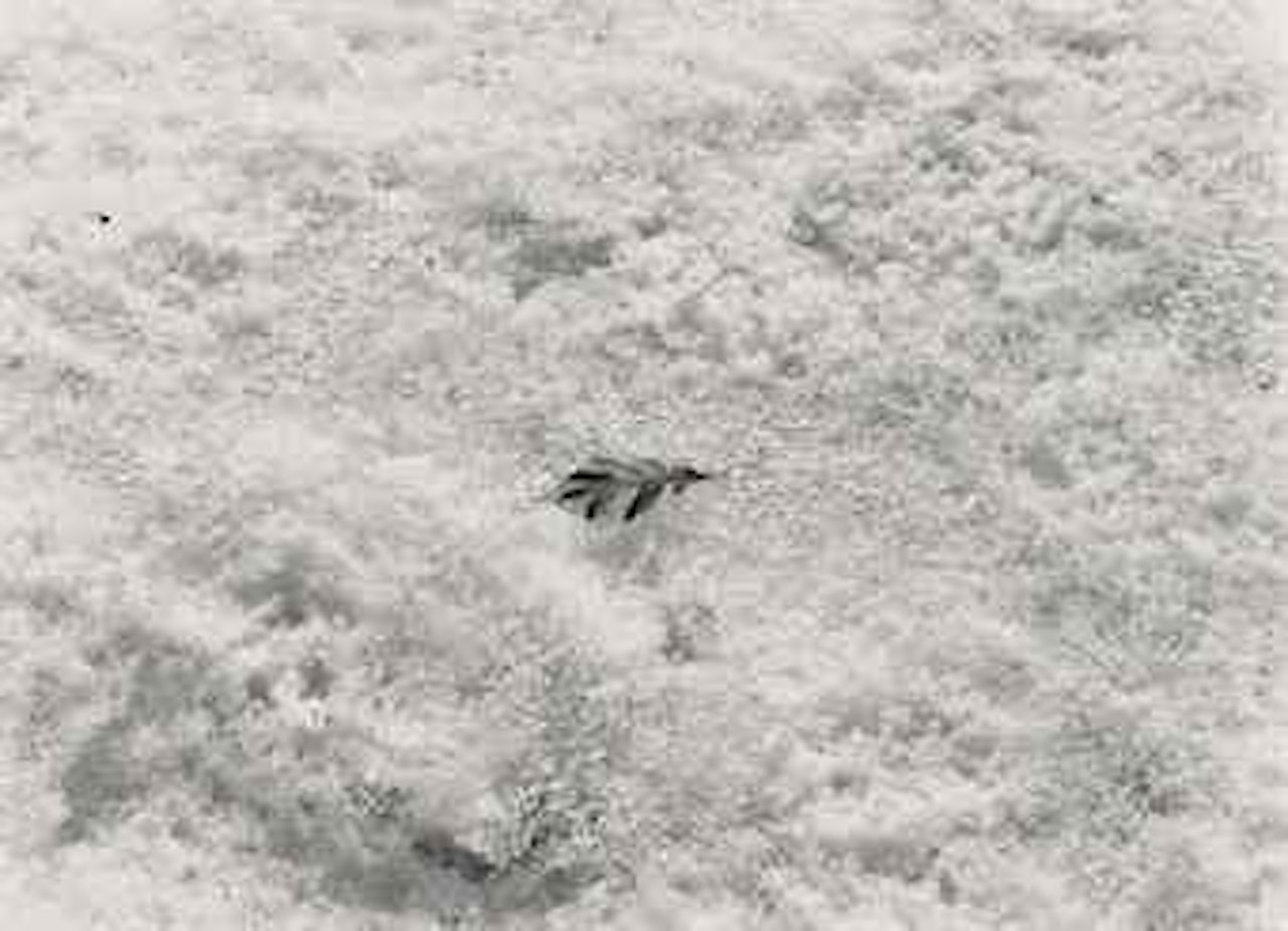 Detroit by Harry Callahan