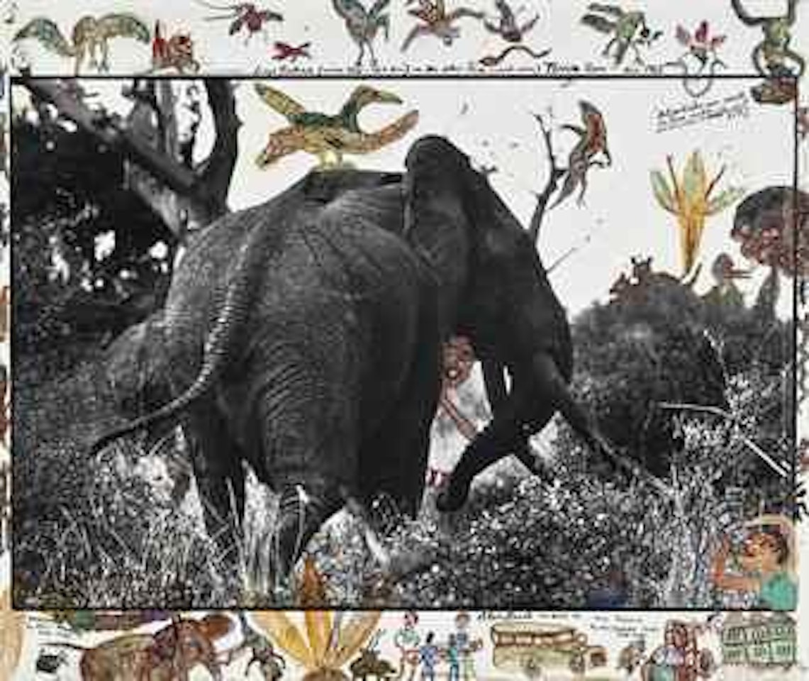 Large Tusker (Circa 150-160lbs) on the Athi-tiva (Sand River), Tsavo North, Feb. 1965 by Peter Beard